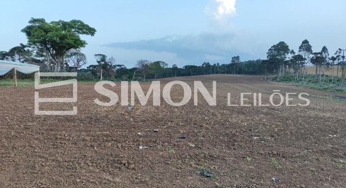 Imagem do lote