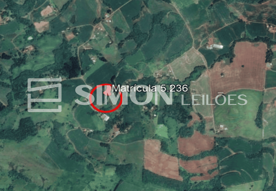 Imagem do lote