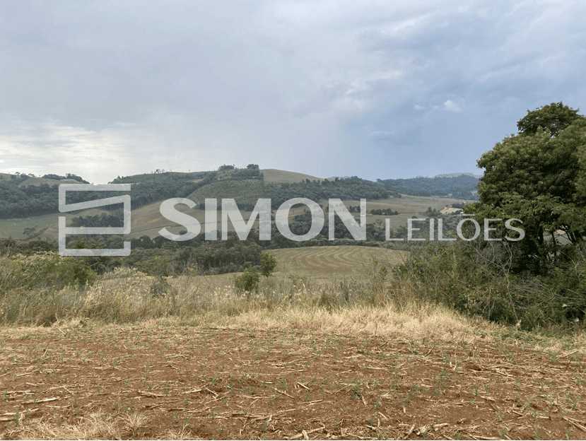 Lote 001 - imóvel rural