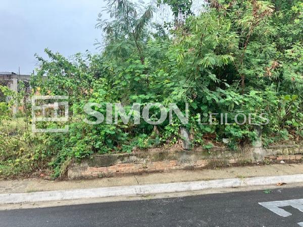 Lote 261 - terreno