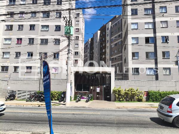 Imagem do lote