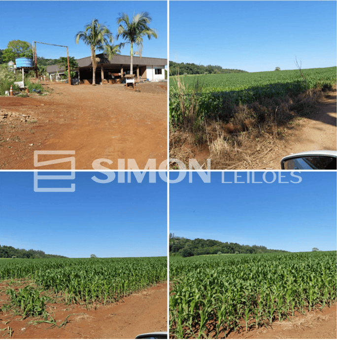 Lote 001 - imóvel rural