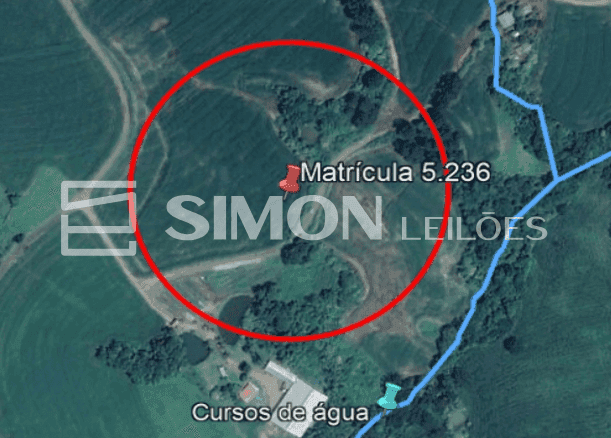 Imagem do lote
