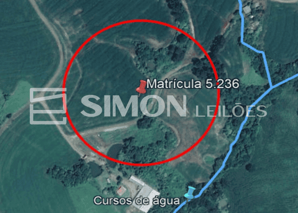 Imagem do lote