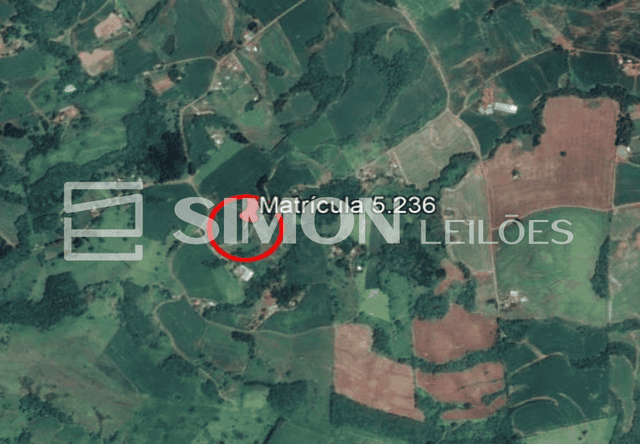 Imagem do lote