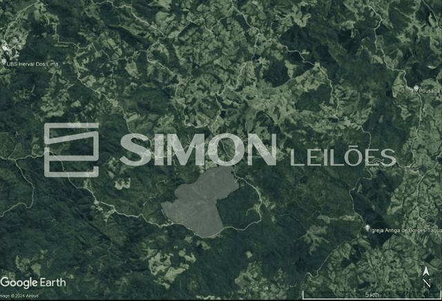Imagem do lote