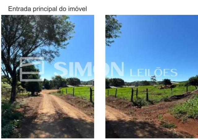 Imagem do lote