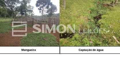 Imagem do lote