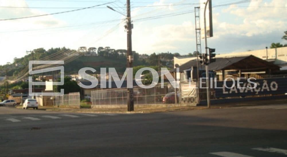 Imagem do lote