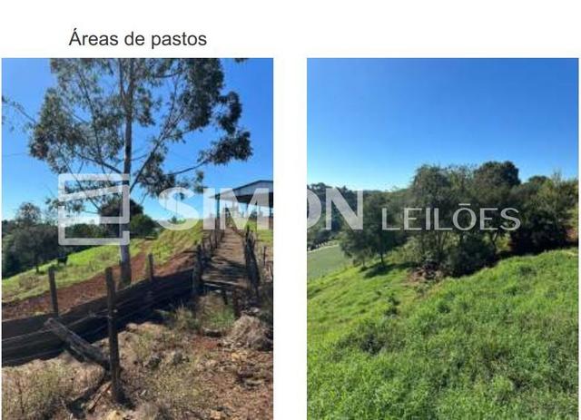 Imagem do lote