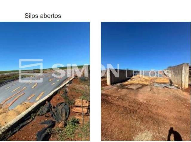 Imagem do lote
