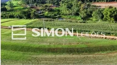 Imagem do lote