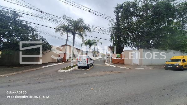 Imagem do lote