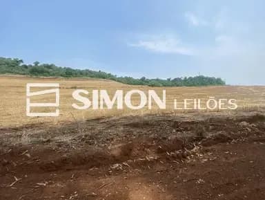 Imagem do lote
